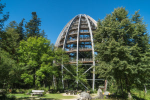 Baumturm am Baumwipfelpfad im Nationalparkzentrum Lusen im Bayerischen Wald. 44 Meter hoch, wird er aufgrund seiner luftigen Eiform auch gerne als "Baumei" bezeichnet.